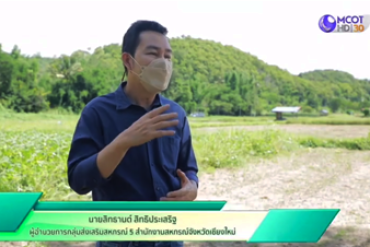 รายการคนไทยหัวใจเกษตร ของสหกรณ์การเกษตรยั่งยืนแม่ทา จำกัด ...