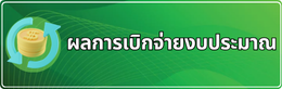 ผลการเบิกจ่ายงบประมาณ