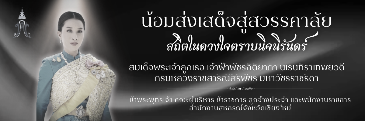 SlideHome69 2