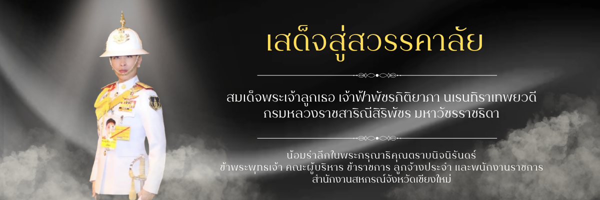SlideHome69 2