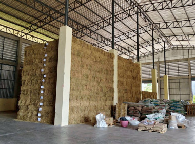 สหกรณ์จังหวัดเชียงใหม่ ลงพื้นที่ตรวจเยี่ยมสหกรณ์โคนมแม่ออน ... พารามิเตอร์รูปภาพ 6