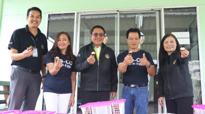 กระจายมังคุดคุณภาพ ... พารามิเตอร์รูปภาพ 1