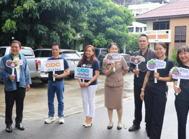กระจายมังคุดคุณภาพ ... พารามิเตอร์รูปภาพ 2