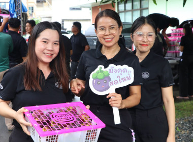 กระจายมังคุดคุณภาพ ... พารามิเตอร์รูปภาพ 6