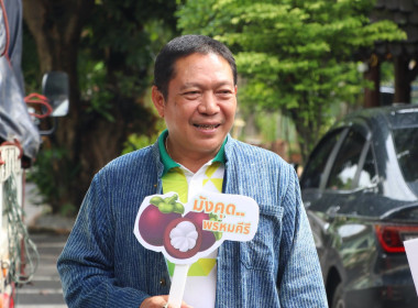 กระจายมังคุดคุณภาพ ... พารามิเตอร์รูปภาพ 1