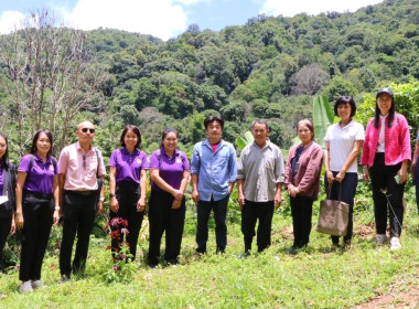 JICA ประเทศไทย ... พารามิเตอร์รูปภาพ 2