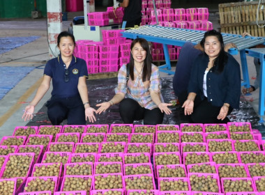 สหกรณ์จังหวัดเชียงใหม่ ลงพื้นที่ จุดรวบรวมผลผลิตลำไย ... พารามิเตอร์รูปภาพ 1