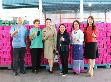 ร่วมพิธี “ลงนามบันทึกข้อตกลง ความร่วมมือ MOU ซื้อ - ขายลำไย ... พารามิเตอร์รูปภาพ 1