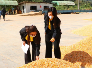 สหกรณ์จังหวัดเชียงใหม่ ลงพื้นที่ตรวจเยี่ยม ... พารามิเตอร์รูปภาพ 2