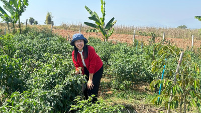 สหกรณ์จังหวัดเชียงใหม่ ลงพื้นที่กลุ่มเกษตรกรสวนส้ม คทช. ... พารามิเตอร์รูปภาพ 1