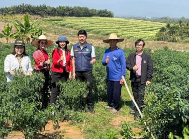 สหกรณ์จังหวัดเชียงใหม่ ลงพื้นที่กลุ่มเกษตรกรสวนส้ม คทช. ... พารามิเตอร์รูปภาพ 1