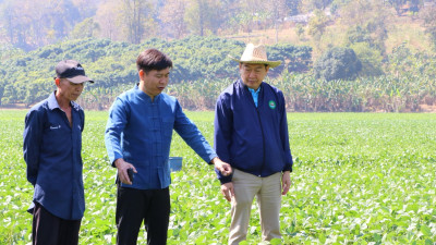 อธิบดีกรมส่งเสริมสหกรณ์ ลงพื้นที่ตรวจเยี่ยมชมแปลงถั่วเหลือง ... พารามิเตอร์รูปภาพ 1