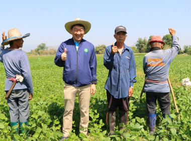 อธิบดีกรมส่งเสริมสหกรณ์ ลงพื้นที่ตรวจเยี่ยมชมแปลงถั่วเหลือง ... พารามิเตอร์รูปภาพ 6