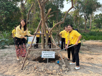 สหกรณ์จังหวัดเชียงใหม่ ... พารามิเตอร์รูปภาพ 1