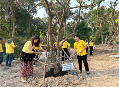 สหกรณ์จังหวัดเชียงใหม่ ... พารามิเตอร์รูปภาพ 1