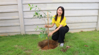 สหกรณ์จังหวัดเชียงใหม่ ... พารามิเตอร์รูปภาพ 1