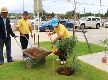 สหกรณ์จังหวัดเชียงใหม่ ... พารามิเตอร์รูปภาพ 5