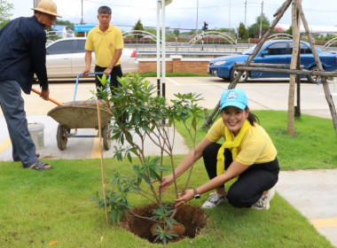 สหกรณ์จังหวัดเชียงใหม่ ... พารามิเตอร์รูปภาพ 6