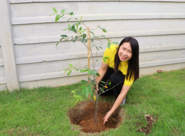 สหกรณ์จังหวัดเชียงใหม่ ... พารามิเตอร์รูปภาพ 4