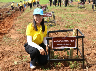 โครงการสวนเกษตรพอเพียงแก้ปัญหาหนี้สินข้าราชการตำรวจสถานีตำรวจภูธรพร้าว และปลูกป่าเฉลิมพระเกียรติฯ ... พารามิเตอร์รูปภาพ 3