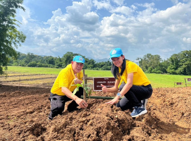 โครงการสวนเกษตรพอเพียงแก้ปัญหาหนี้สินข้าราชการตำรวจสถานีตำรวจภูธรพร้าว และปลูกป่าเฉลิมพระเกียรติฯ ... พารามิเตอร์รูปภาพ 4