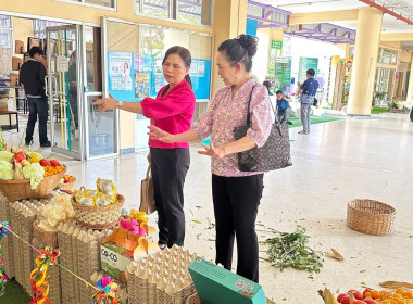 สหกรณ์จังหวัดเชียงใหม่ ... พารามิเตอร์รูปภาพ 3