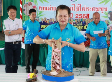 วันผ่ากระบอกไม้ไผ่ระดมทุน ปี 2568 สกก.สะเมิง จก. พารามิเตอร์รูปภาพ 6