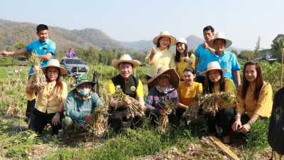 รองอธิบดีกรมส่งเสริมสหกรณ์ ... พารามิเตอร์รูปภาพ 1