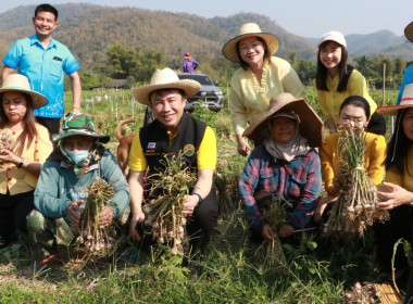 รองอธิบดีกรมส่งเสริมสหกรณ์ ... พารามิเตอร์รูปภาพ 6