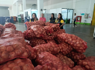 สหกรณ์จังหวัดเชียงใหม่ ... พารามิเตอร์รูปภาพ 3