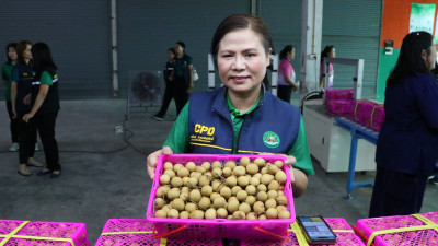 kick off “การบริหารจัดการลำไยของสถาบันเกษตรกร ปี 2568 ... พารามิเตอร์รูปภาพ 1
