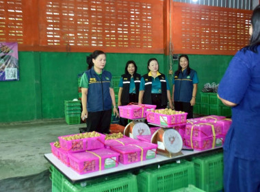 kick off “การบริหารจัดการลำไยของสถาบันเกษตรกร ปี 2568 ... พารามิเตอร์รูปภาพ 3