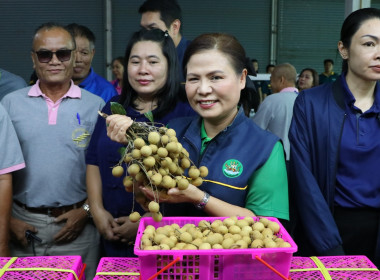 kick off “การบริหารจัดการลำไยของสถาบันเกษตรกร ปี 2568 ... พารามิเตอร์รูปภาพ 1