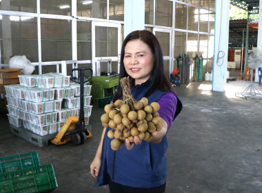 ผู้ตรวจราชการกระทรวงเกษตรและสหกรณ์ ... พารามิเตอร์รูปภาพ 4
