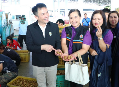 ผู้ตรวจราชการกระทรวงเกษตรและสหกรณ์ ... พารามิเตอร์รูปภาพ 8