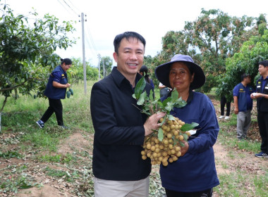 ผู้ตรวจราชการกระทรวงเกษตรและสหกรณ์ ... พารามิเตอร์รูปภาพ 5