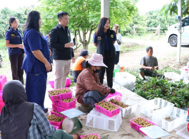 ผู้ตรวจราชการกระทรวงเกษตรและสหกรณ์ ... พารามิเตอร์รูปภาพ 6