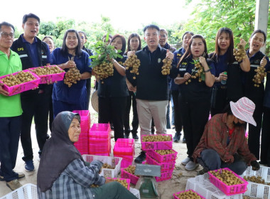 ผู้ตรวจราชการกระทรวงเกษตรและสหกรณ์ ... พารามิเตอร์รูปภาพ 7