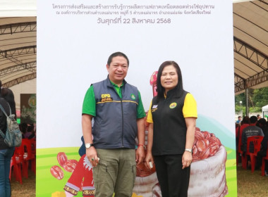 “กาแฟไทย เติบโตไปกับป่า สร้างคุณค่าให้โลก” พารามิเตอร์รูปภาพ 3