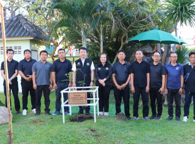 อธิบดีกรมส่งเสริมสหกรณ์ ... พารามิเตอร์รูปภาพ 7