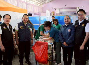 เปิดโครงการเร่งผ่าตัดทำหมันสุนัขและแมว ... พารามิเตอร์รูปภาพ 3