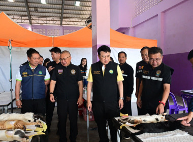 เปิดโครงการเร่งผ่าตัดทำหมันสุนัขและแมว ... พารามิเตอร์รูปภาพ 2