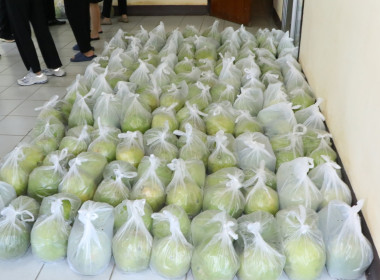 กระจายผลผลิต “ส้มโอขาวใหญ่คุณภาพ สินค้า GI” ... พารามิเตอร์รูปภาพ 6