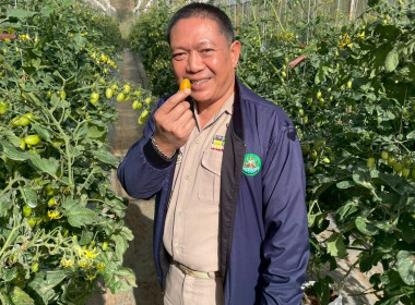 สหกรณ์จังหวัดเชียงใหม่ ... พารามิเตอร์รูปภาพ 4