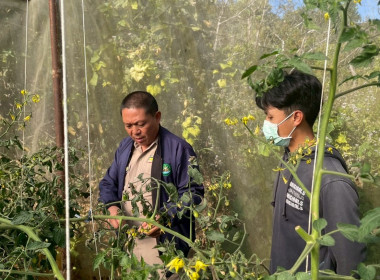 สหกรณ์จังหวัดเชียงใหม่ ... พารามิเตอร์รูปภาพ 5