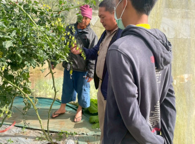 สหกรณ์จังหวัดเชียงใหม่ ... พารามิเตอร์รูปภาพ 6