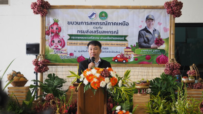 อธิบดีกรมส่งเสริมสหกรณ์ ... พารามิเตอร์รูปภาพ 1