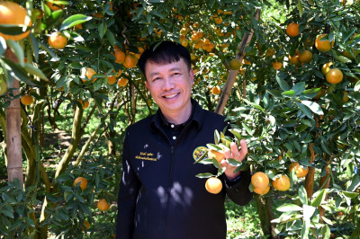 คณะผู้บริหารกรมส่งเสริมสหกรณ์ ลงพื้นที่ ... พารามิเตอร์รูปภาพ 1