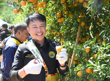 คณะผู้บริหารกรมส่งเสริมสหกรณ์ ลงพื้นที่ ... พารามิเตอร์รูปภาพ 1