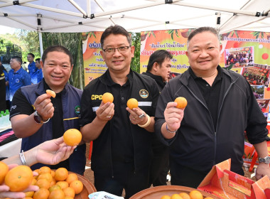 คณะผู้บริหารกรมส่งเสริมสหกรณ์ ลงพื้นที่ ... พารามิเตอร์รูปภาพ 5